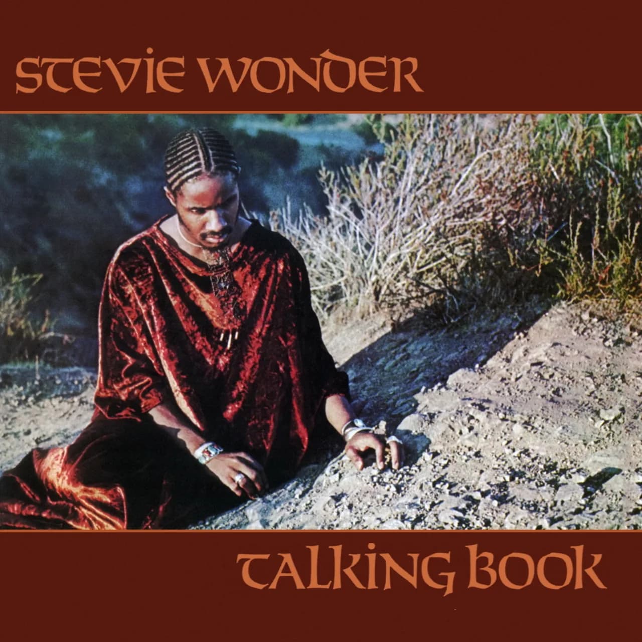 Talking Book Albumcover